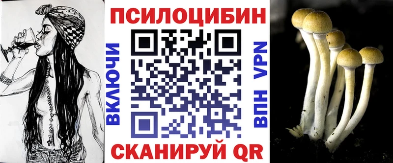 Псилоцибиновые грибы Cubensis darknet наркотические препараты Покачи где продают кракен